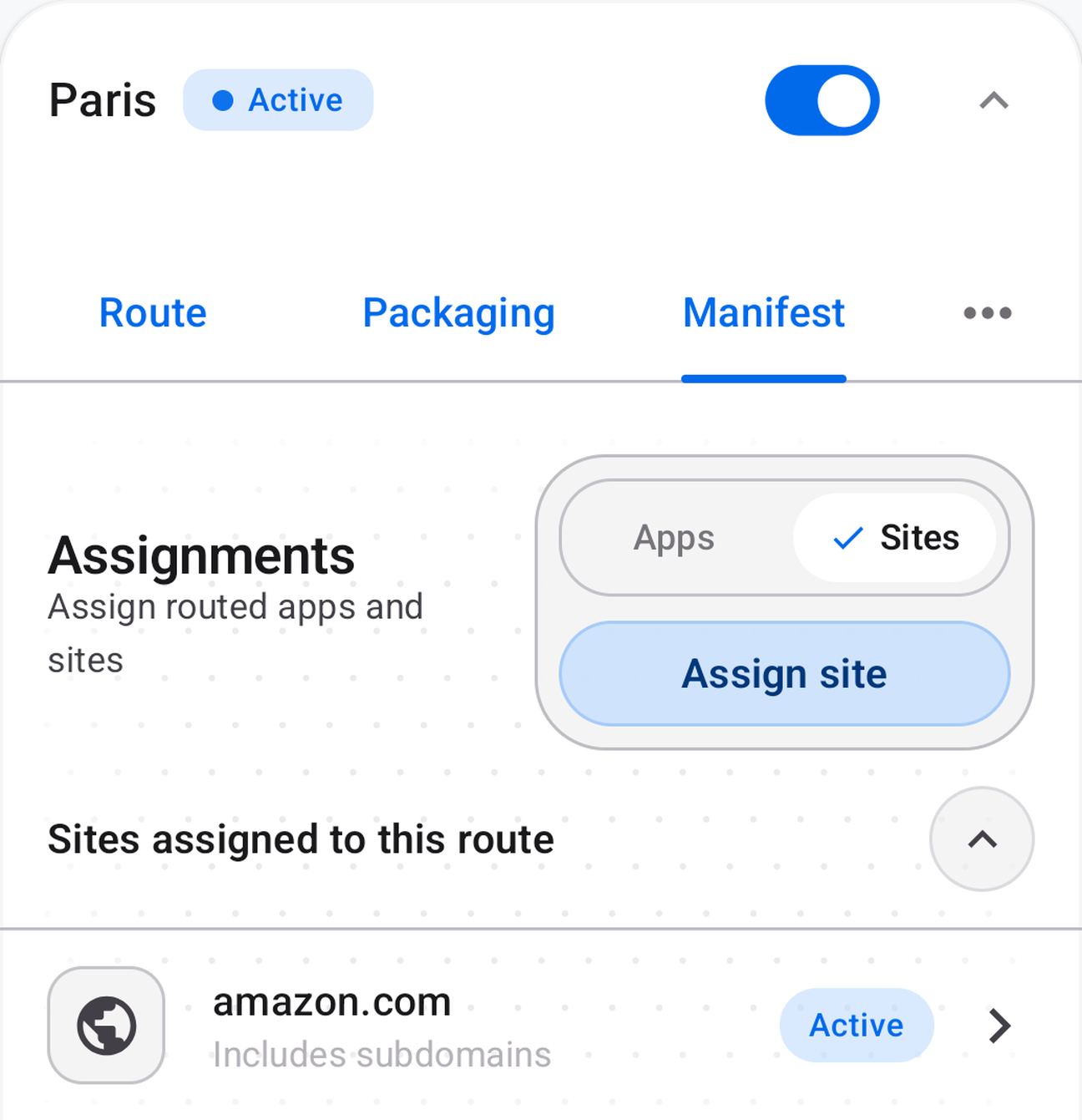 Secureferry site assignment controls showing amazon.com assigned to a dedicated route.